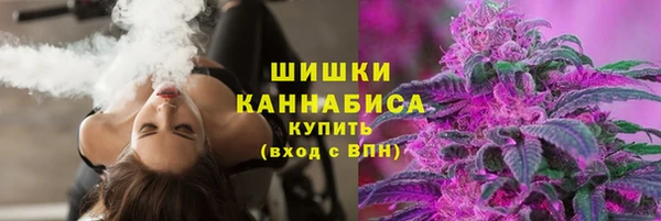 тгк Володарск