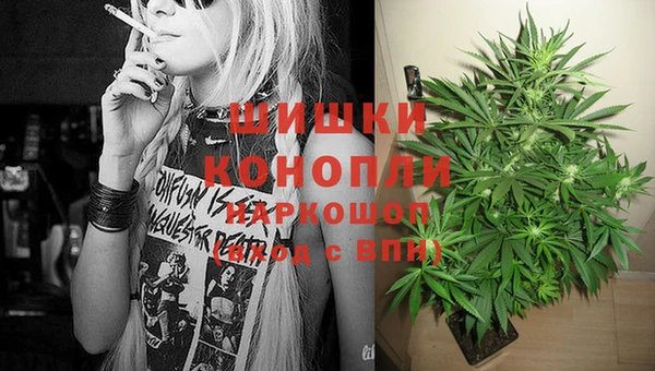 тгк Володарск
