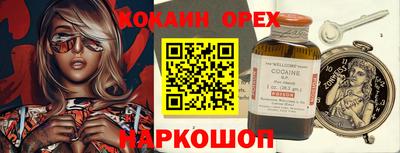 молекула духа Камышлов