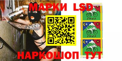 молекула духа Камышлов