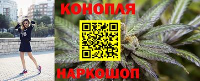 молекула духа Камышлов