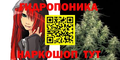 крисы Абинск