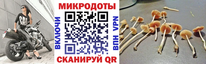 Псилоцибиновые грибы Cubensis купить наркотики цена Волхов