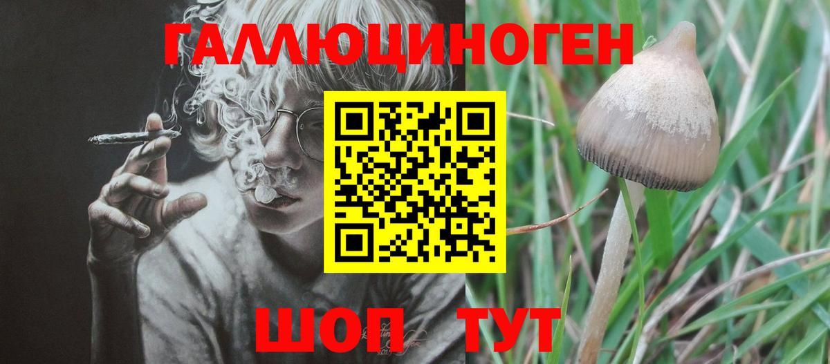 Псилоцибиновые грибы GOLDEN TEACHER  Вход с VPN  Волхов 